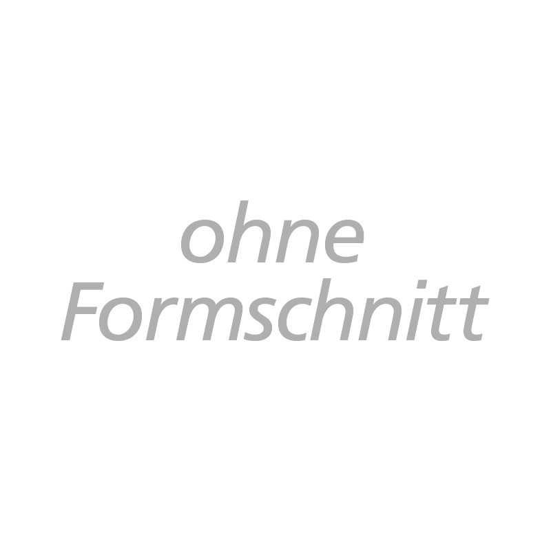 Scheibenaufkleber beidseitig lesbar ohne Formschnitt